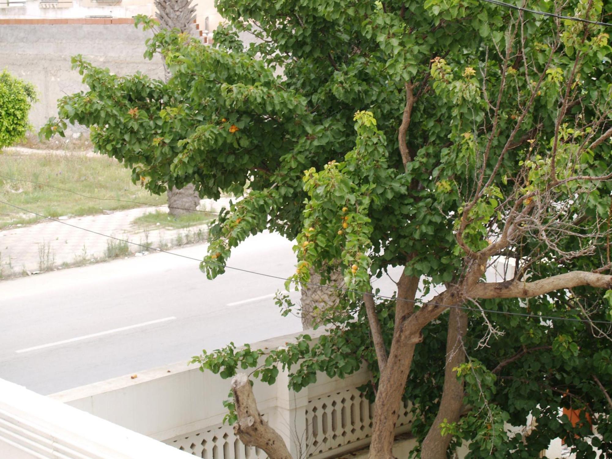 Dar El Amen Appartements Mahdia Room photo
